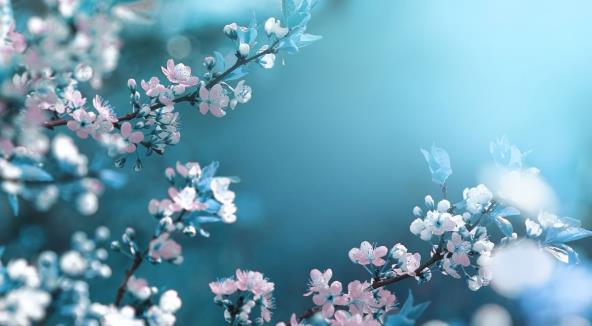 shutterstock_1009843408.jpg